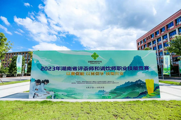 2023年湖南省評茶師和調飲師職業技能競賽圓滿閉幕 省茶業集團喜獲佳績